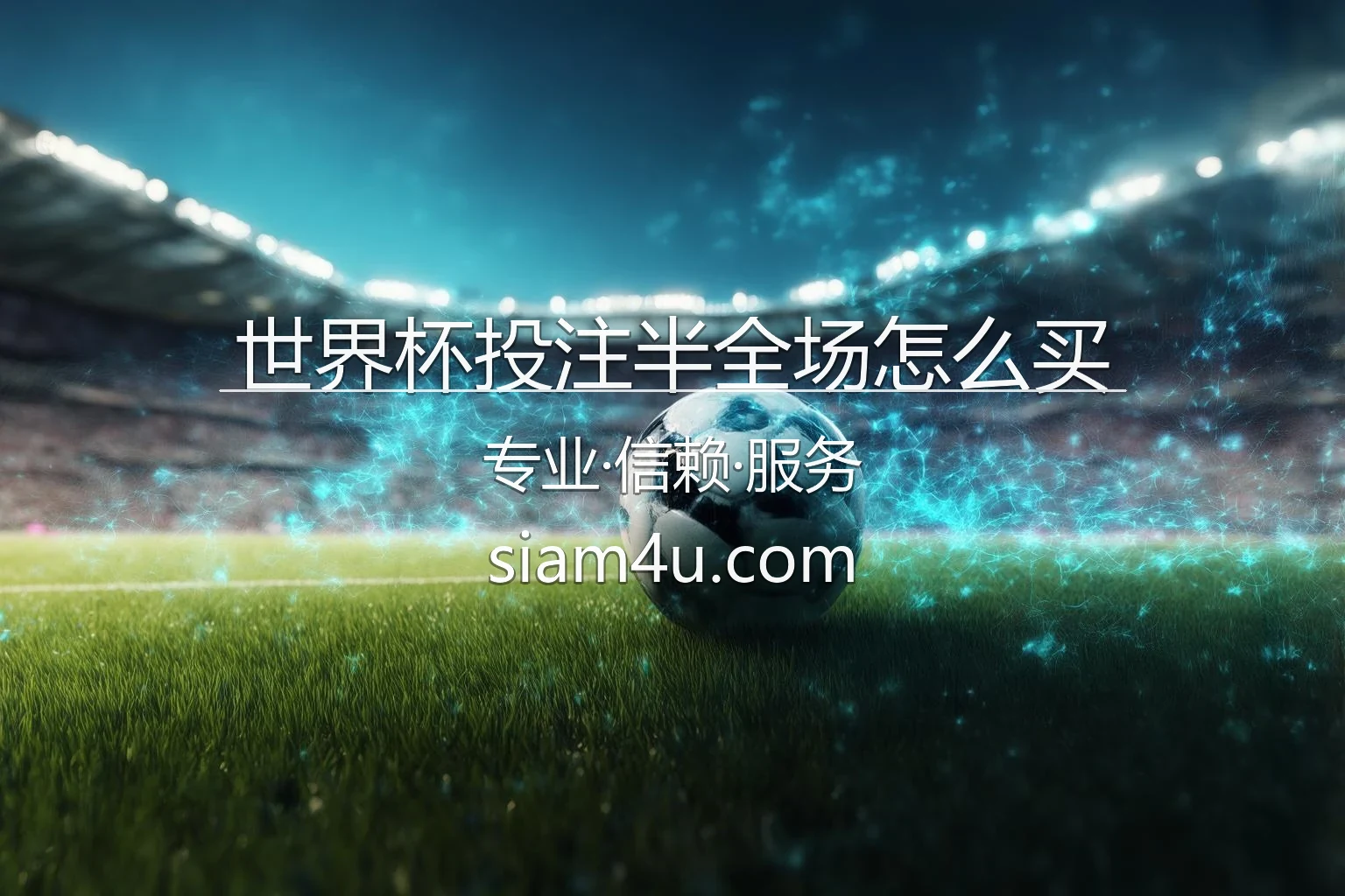 世界杯投注半全场怎么买官方实战分析图